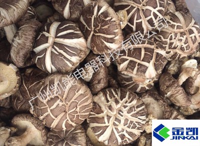 空氣能香菇烘干機(jī) 高效節(jié)能的香菇干燥解決方案